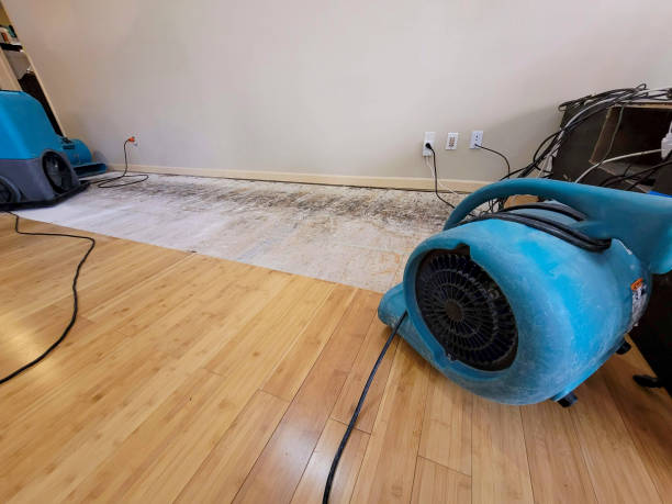 Professional Water Extraction technician working in Indianola, WA